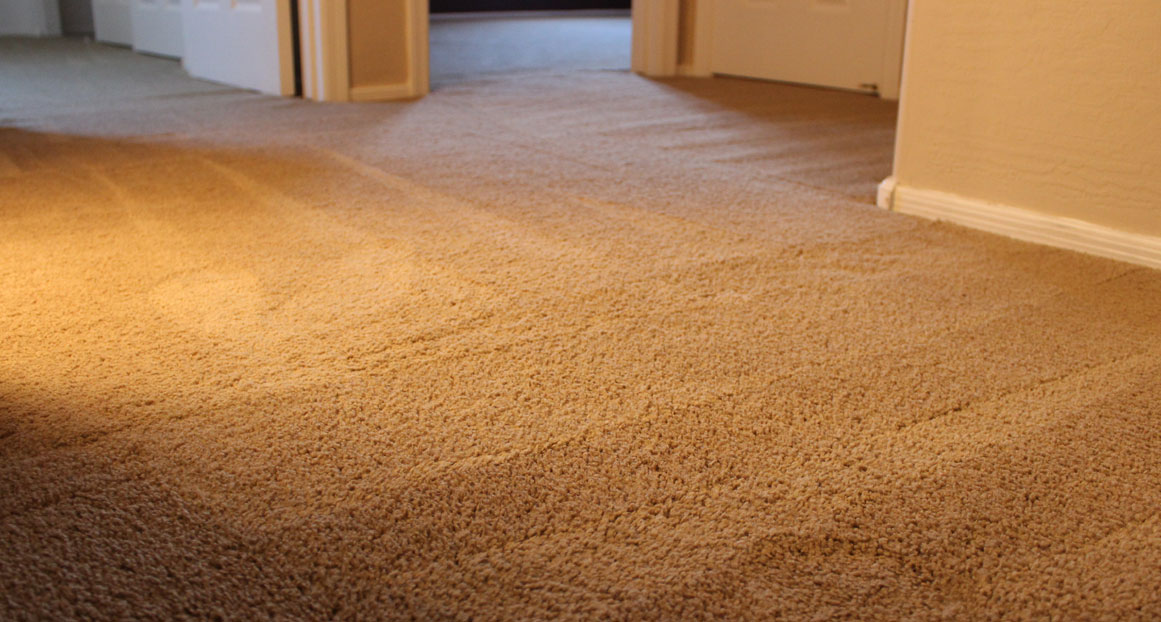 Carpet-Cleaning