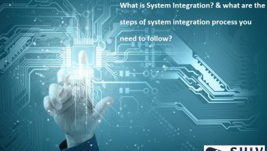 Software & System Integration Services