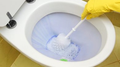 ways to keep your toilet sparkling