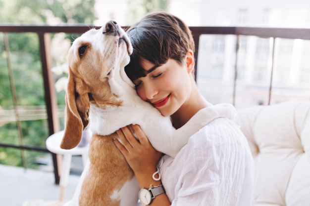 Ten Best Dog Breeds For Kids and Families