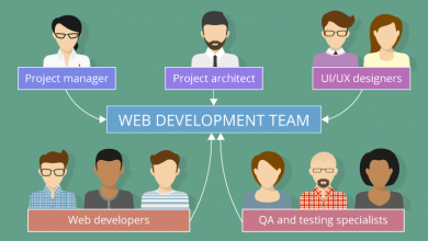 web-development-team