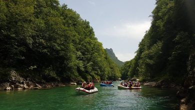 Rafting Tara in Montenegro is amazing adventure