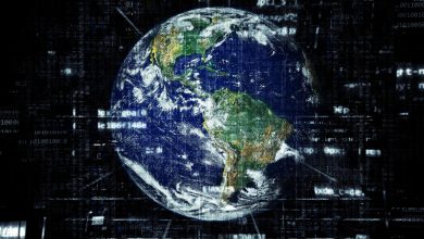 Shared web hosting