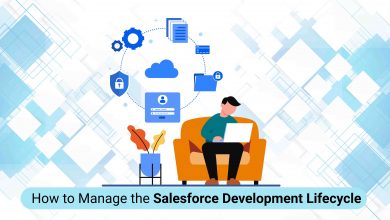 Salesforce Development Lifecycle