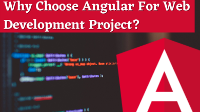 Angular For Web Development