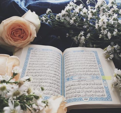 quran memorization online