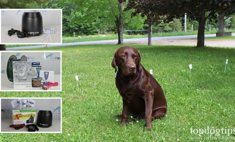 portable electric fence for dogs