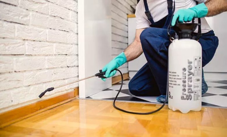 local termites treatment company brisbane