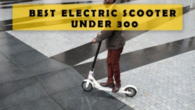 Best electric scooter under 300