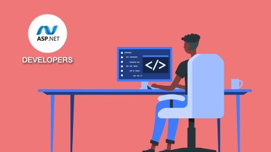 asp net developers