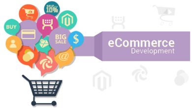 ecommerce development