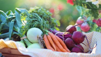 Health Food