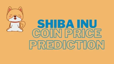 Shiba Inu Coin Price Prediction