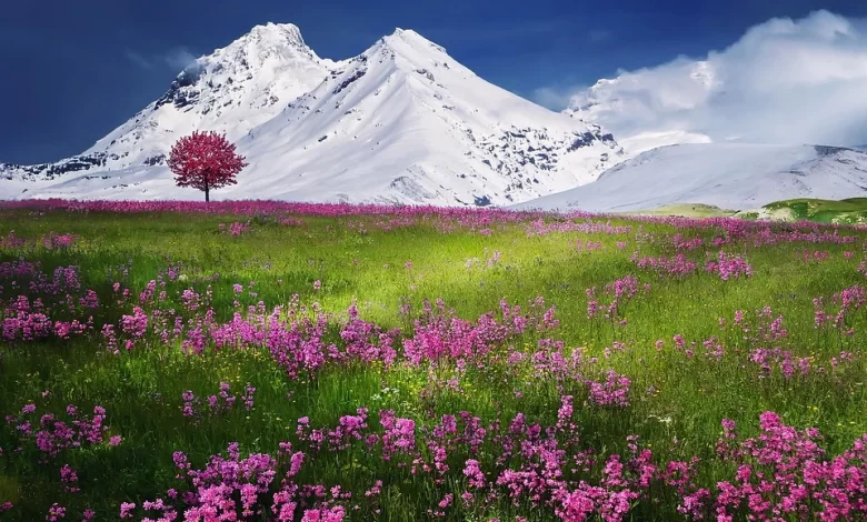 Shimla Manali vacations from Bangalore