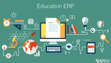 The Crucial Challenges in ERP Implementation