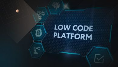 development platform