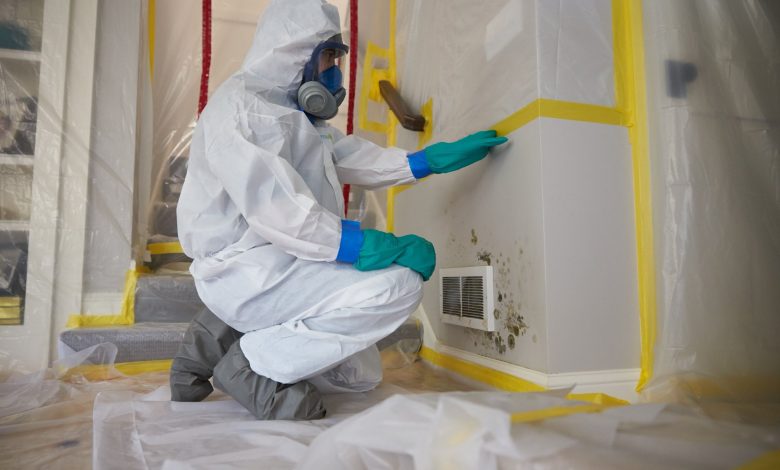 Mold Remediation Sarasota